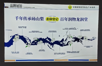 合肥工业大学马克思主义学院