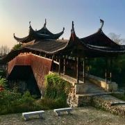 泰顺三条桥游玩-三条桥门票多少钱/价格表-团购票价预定优惠-景点地址在哪里/图片介绍/参观预约/旅游游览顺序及注意事项/营业时间-【携程】