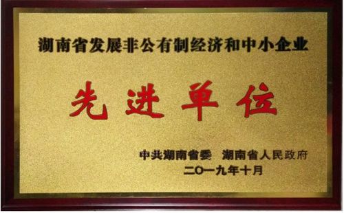 蓝思科技获评 湖南省发展非公有制经济和中小企业先进单位