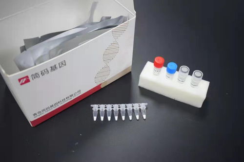 我科研人员研发食品核酸检测试剂盒护航北京冬奥会