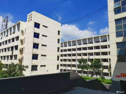 欧菲光大型产业园内旺铺出租,免租期2个月 南昌店面出租