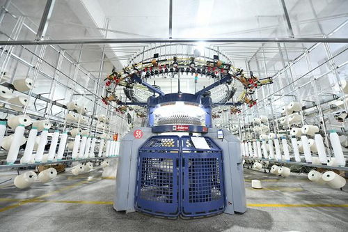致景科技x鑫威纺织 安装 智慧大脑 传统织厂打造数智化新样本